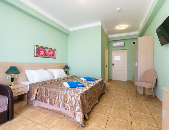 Стандарт 2-местный 1-комнатный номер - «АкваЛоо» клинический санаторно-курортный комплекс (КСКК)