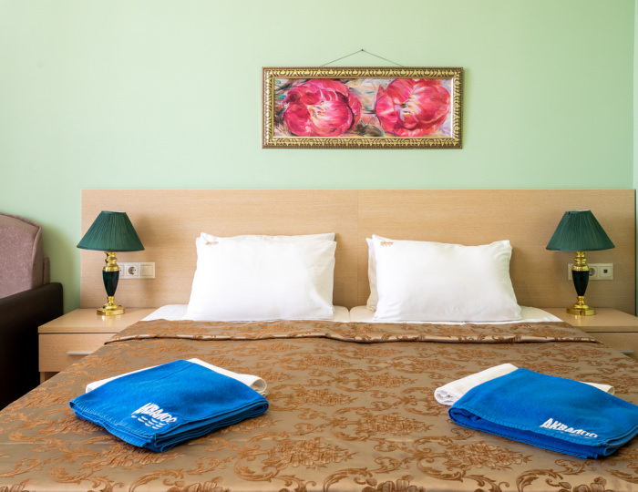 Стандарт 2-местный 1-комнатный номер - «АкваЛоо» клинический санаторно-курортный комплекс (КСКК)