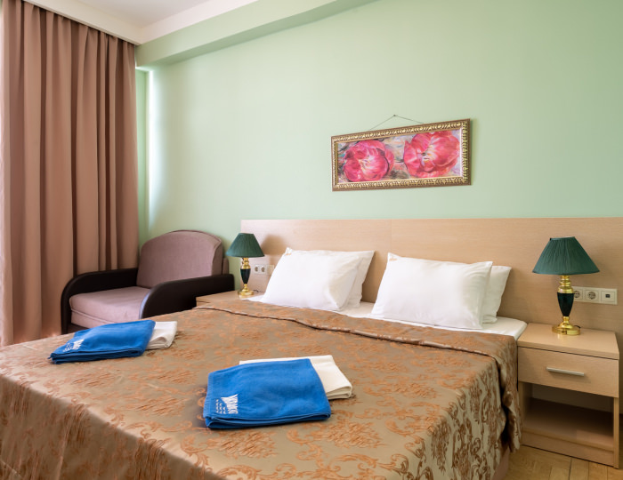 Стандарт 2-местный 1-комнатный номер - «АкваЛоо» клинический санаторно-курортный комплекс (КСКК)